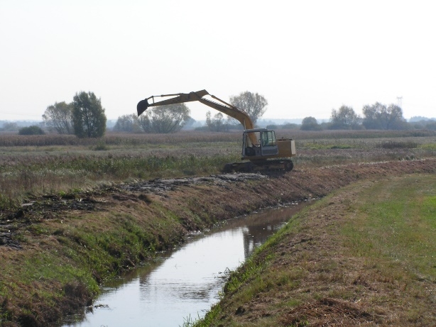 Rzeka Jagodzianka R