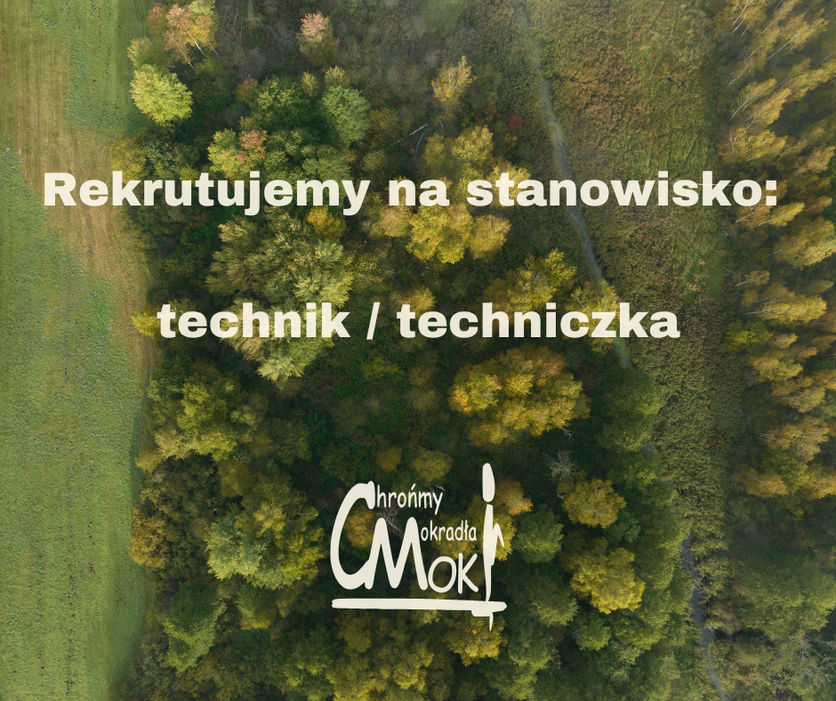 Rekrutujemy na stanowisko technik techniczka